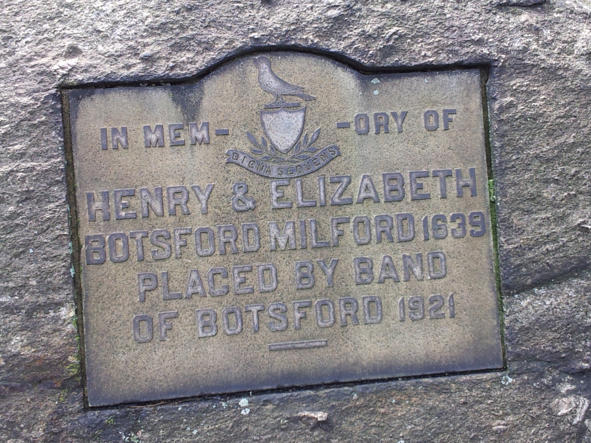 Plaque